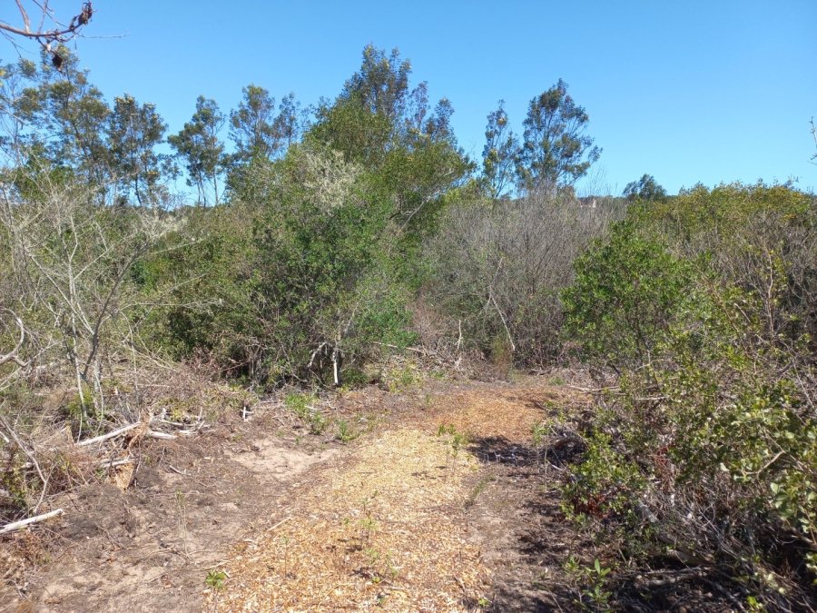 Commercial Property for Sale in Langvlei Dunes Western Cape